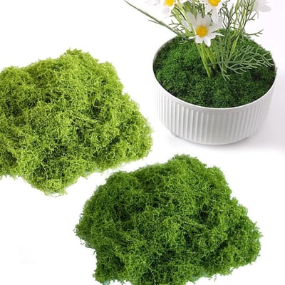 OMJMYY 100g Artificial Moss for Crafts, Icelandic Moss Decoration, Moss Artificial Moss Preserved for Wall, Manger - ShopVlot