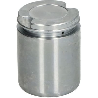 Zuiger, remklauw AUTOFREN SEINSA D025417