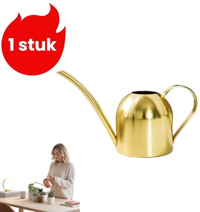 1 stuk - Gieter van roestvrij staal - Mini tuinsproeifles - Gieter met lange tuit - Gieter voor potplanten (500 ml) - Goud