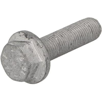 Riemschijfschroef SASIC 8704007