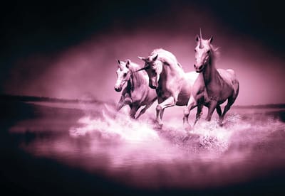 Fotobehang Unicorns Horses Purple Black | XL - 208cm x 146cm | 130g/m2 Vlies