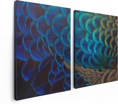 Artaza Canvas Schilderij Tweeluik Kleurrijke Pauw Veren Van Dichtbij - 120x80 - Foto Op Canvas - Canvas Print
