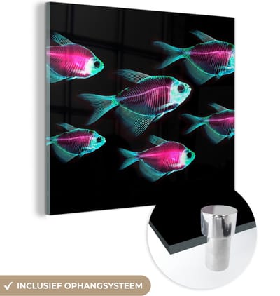 MuchoWow® Glasschilderij 50x50 cm - Schilderij acrylglas - Vis - Paars - Blauw - Foto op glas - Schilderijen