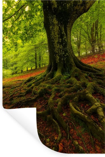 Muurstickers - Sticker Folie - Boom - Bos - Herfstbladeren - 20x30 cm - Plakfolie - Muurstickers Kinderkamer - Zelfklevend Behang - Zelfklevend behangpapier - Stickerfolie