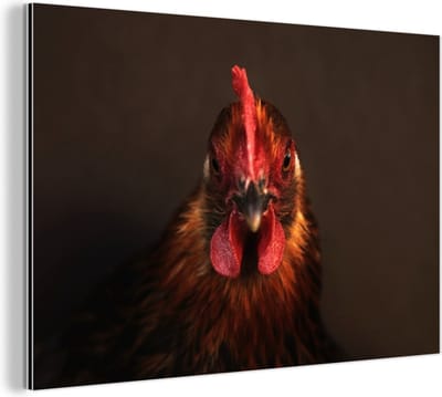 Aluminium schilderij 180x120 cm - Wanddecoratie metaal - Kop van een haan van dichtbij - Metalen muurdecoratie woonkamer - Decoratie industrieel - Foto op dibond - Industriële accessoires slaapkamer