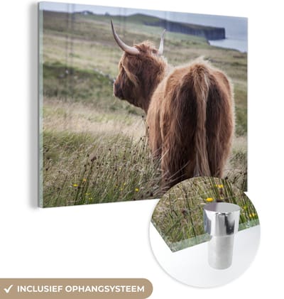 MuchoWow® Glasschilderij 120x90 cm - Schilderij acrylglas - Schotse Hooglander - Natuur - Zee - Foto op glas - Schilderijen