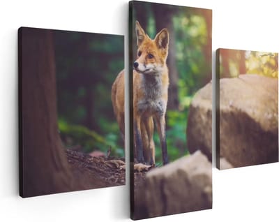 Artaza Canvas Schilderij Drieluik Vos in het Bos bij Stenen - 90x60 - Foto Op Canvas - Canvas Print