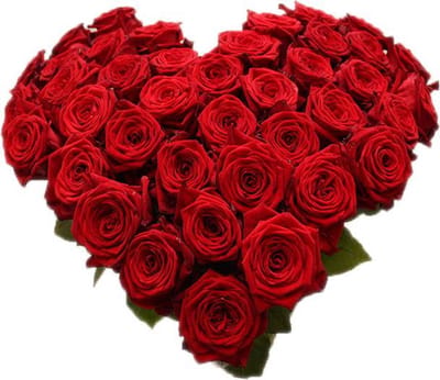 Rode rozen hart vorm boeket (40 rozen)