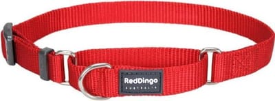 Hondenhalsband Red Dingo Semi choke Rood (26-40 cm) (1,5 x 24-36 cm)
