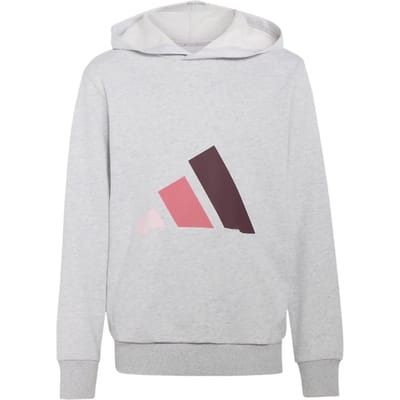 Adidas Essentials Hoodie Grijs 15-16 Years Kinderen
