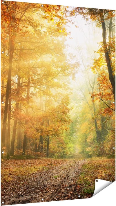 Gards Tuinposter Herfstbos met Zonneschijn - 120x180 cm - Tuindoek - Tuindecoratie - Wanddecoratie buiten - Tuinschilderij