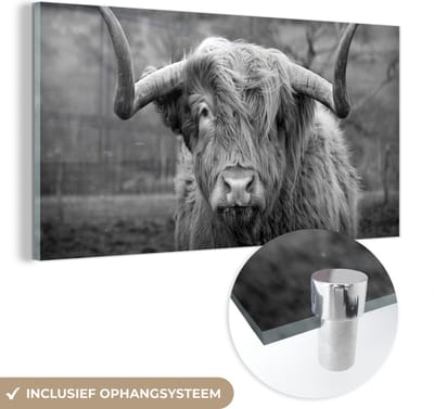 MuchoWow® Glasschilderij 120x60 cm - Schilderij acrylglas - Schotse Hooglander - Koeienkop - Landschap - Natuur - Koe - Foto op glas - Schilderijen
