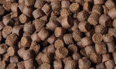 Steur voer perfect uitgebalanceerd 8mm. steurvoer 5kg.