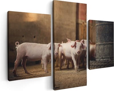 Artaza Canvas Schilderij Drieluik Varkens op een Boerderij Stal - 90x60 - Foto Op Canvas - Canvas Print