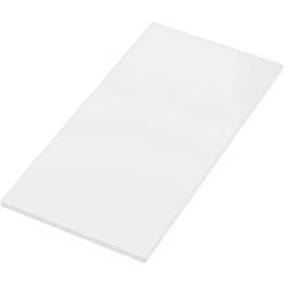 10 stuks 90498 Platte Tegel 8x16 DOE-HET-ZELF verlichtingsblok bouwsteen component Nr 48288 Compatibel Met Andere Bouwdeeltjes 10PCS wit