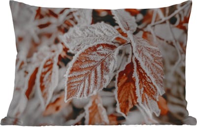 Buitenkussens - Tuin - Bladeren - IJs - Winter - Natuur - 50x30 cm