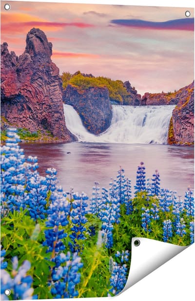 Gards Tuinposter Waterval met Blauwe Lupine Bloemen - 60x80 cm - Tuindoek - Tuindecoratie - Wanddecoratie buiten - Tuinschilderij