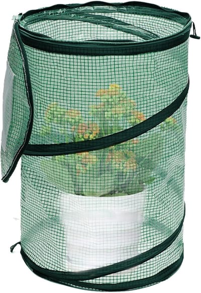 Tafelbroeikas - Kleine kas - Planten beschermen - Verbeterde ventilatie - 52.6 x 52.4 x 6.4 cm - Groen