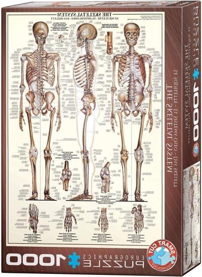 Menselijk Skelet Puzzel - Anatomie Puzzel - Ontspannen Puzzelen - 1000 Stukjes - 68 x 48 cm - Fotorealistisch