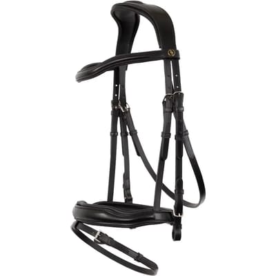 Anatomische hoofdstellen BR Equitation Luton