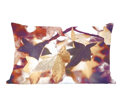 Sierkussens - Kussentjes Woonkamer - 50x30 cm - Bladeren - Esdoorn - Herfst - Seizoenen
