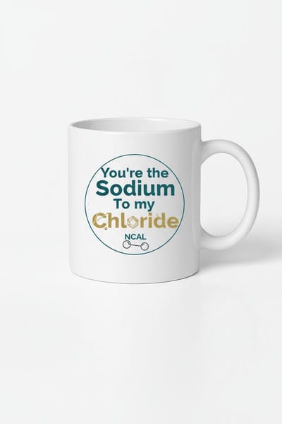 Mok 'You're the Sodium To my Chloride' | Grappige Chemie & Fitness Liefdes Beker | NaCl Cadeau
