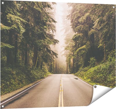 Gards Tuinposter Highway in Californië Omring met Bos - 100x80 cm - Tuindoek - Tuindecoratie - Wanddecoratie buiten - Tuinschilderij
