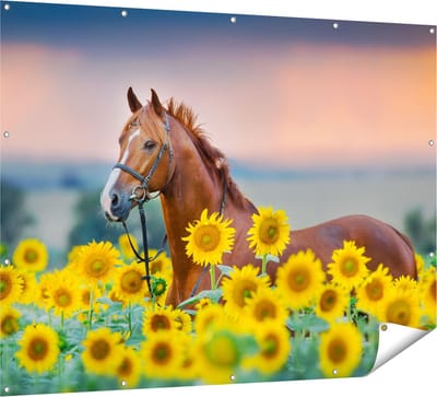 Gards Tuinposter Bruin Paard tussen de Zonnebloemen - 160x120 cm - Tuindoek - Tuindecoratie - Wanddecoratie buiten - Tuinschilderij