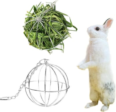2 Stuks RVS Hooi Voederbal 8cm voor Konijn, Cavia en Hamster - Hangende Voederdispenser voor Dieren