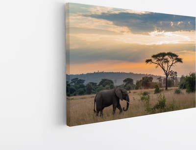 Saammp Canvas Schilderij - Olifant tijdens zonsondergang in de serangeti - Afrika - Dieren - 30x20 - Foto op canvas - Wanddecoratie - muurdecoratie Woonkamer - Slaapkamer decoratie - Canvas Print