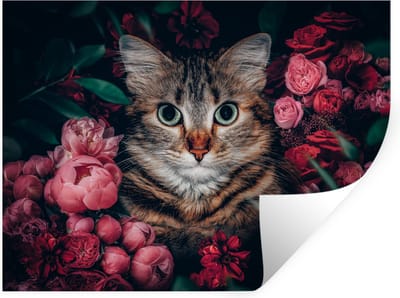 Muurstickers - Sticker Folie - Kat - Bloemen - Dieren - Botanisch - 40x30 cm - Plakfolie - Muurstickers Kinderkamer - Zelfklevend Behang - Zelfklevend behangpapier - Stickerfolie