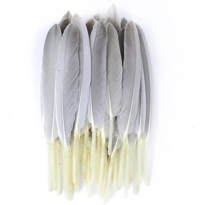50/100/200 stuks Blauwe Ganzenveren Harde Schacht 4-6inch/10-15cm Echte Natuurlijke Zwanenveer Huis Decoratief Dromenvanger Handwerk 50Pieces