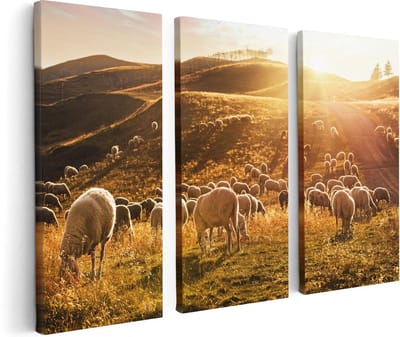Artaza Canvas Schilderij Drieluik Schapen in de Heuvels bij Zonsondergang - 120x80 - Foto Op Canvas - Canvas Print