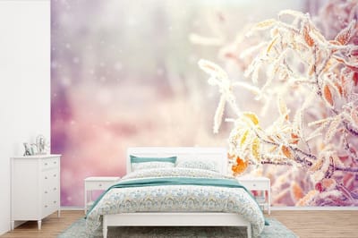 Behang - Fotobehang Winter - Takken - Sneeuw - Natuur - Breedte 330 cm x hoogte 220 cm