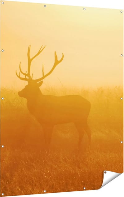 Gards Tuinposter Hert tijdens de Mist - 120x160 cm - Tuindoek - Tuindecoratie - Wanddecoratie buiten - Tuinschilderij