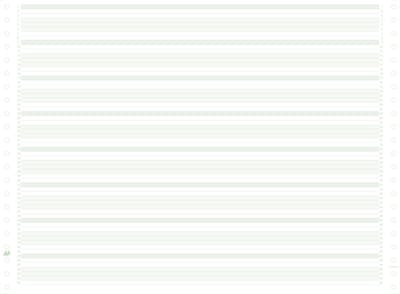 Exacompta 2000 listingbladen in zones verdeeld 380x11 niet afscheurbare Caroll banden papier 70g - - 66311E
