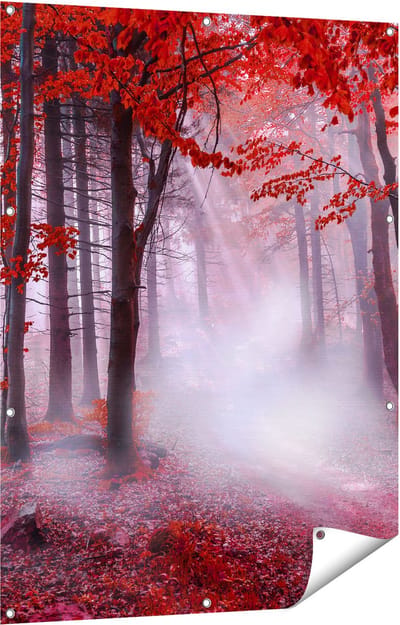 Gards Tuinposter Rood Bos met Bomen - 90x120 cm - Tuindoek - Tuindecoratie - Wanddecoratie buiten - Tuinschilderij