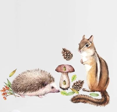 Muursticker Raamstickers Herfst / Autumn - Egel - Eekhoorn - Paddestoel - Dennenappel | Bos Stickers | Raam Decoratie - Winkel - School - Peuterspeelzaal - Huis - Veranda- Kantoor | Herbruikbaar - Waterdicht - Verwijderbaar | DH collection