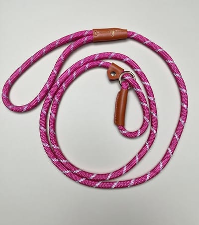 Jachtlijn / trainingslijn hond 1,6 m slip lead zonder halsband