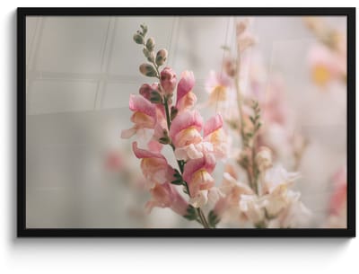 Poster in lijst - Fotolijst 90x60 cm - Posters - Bloem - Leeuwenbek - Roze - Stengel - Posterlijst zwart - Decoratie - Wanddecoratie woonkamer - Muurdecoratie slaapkamer