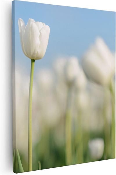Artaza Canvas Schilderij Tulpenveld - 40x50 cm - Muurdecoratie Bloemen - Wanddecoratie Woonkamer - Kamer Accessoires