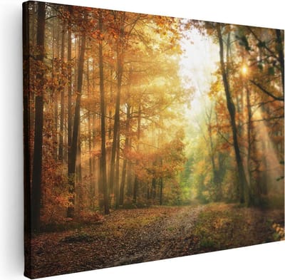 Artaza Canvas Schilderij Herfstbos - 40x30 cm - Klein - Wanddecoratie Bomen - Muurdecoratie Zonlicht - Kamer Accessoires Natuur