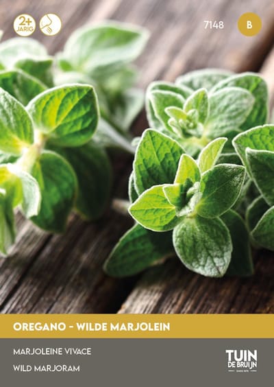 Oregano Zaden – Wilde Marjolein Meerjarig – Aromatisch Keukenkruid – ±750 Zaden – Voor Tuin, Balkon & Pot – Tuin de Bruijn