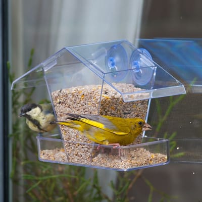 CJ Wildlife Vogelvoederhuisje Raam met Zuignappen - Aanbevolen door Vogelbescherming Nederland - Raamvoederhuisje Transparant - Vogelhuisje met Regenafvoergaten