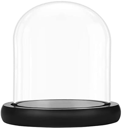 Glazen display stolp met houten voet - Transparante tafelpresentatieklok voor decoratie
