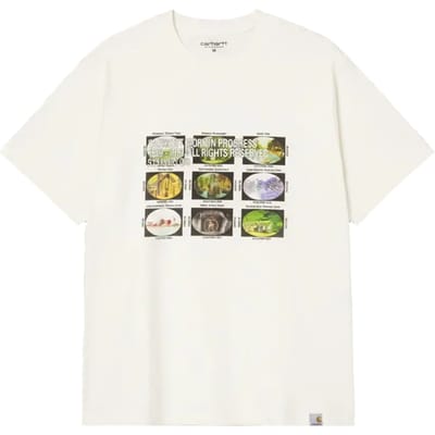 Carhartt Coordinates T-shirt Wit