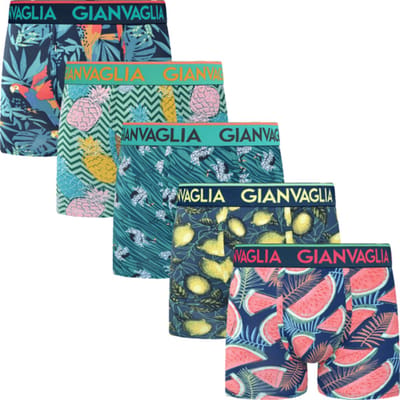 GIANVAGLIA® Deluxe 5-Pack GVG-5072 Heren Katoenen Boxershort M