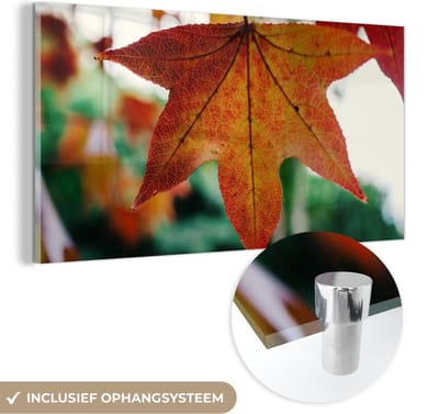 MuchoWow® Glasschilderij 40x20 cm - Schilderij acrylglas - Herfst - Landelijk - Bladeren - Seizoenen - Landelijk - Foto op glas - Schilderijen