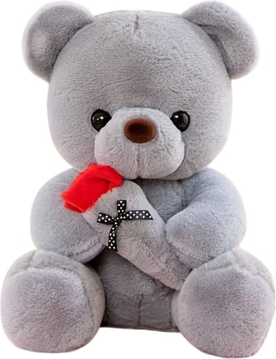 Livano Teddybeer - Knuffelbeer - I Love You - Klein - 12 Jaar En Ouder - Schattige Knuffels - Bloemen - Grijs