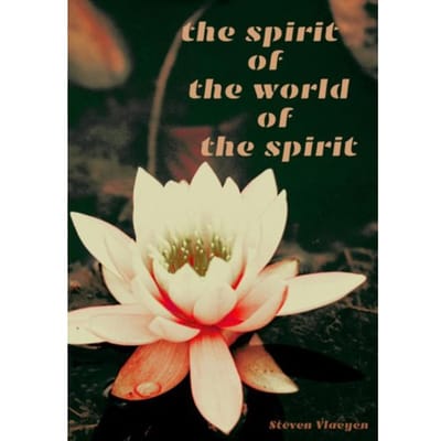 The Spirit Of The World Of The Spirit - Steven Vlaeyen